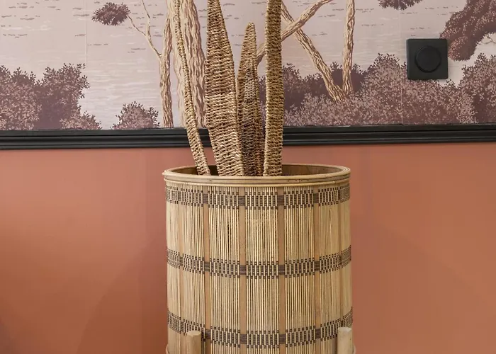 Host Lively * Cannes